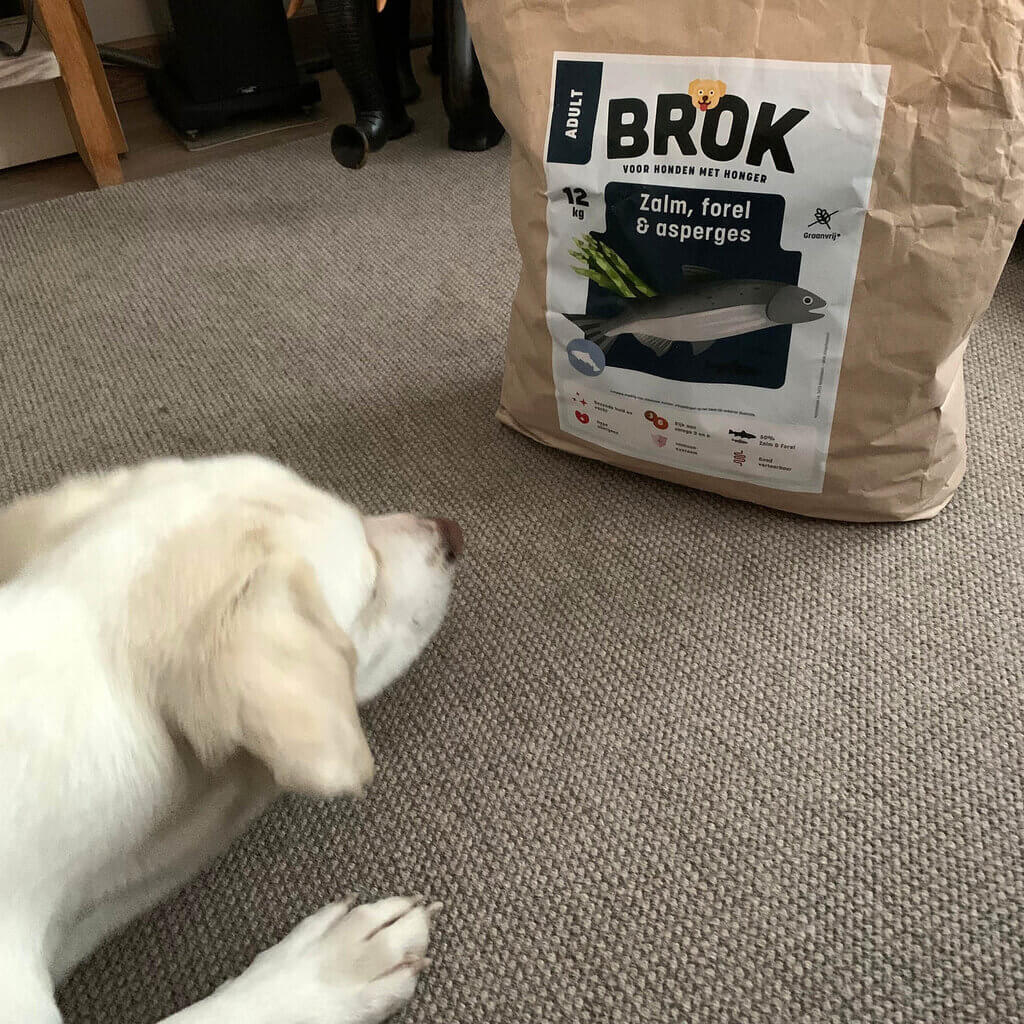 gezonde hondenbrokken