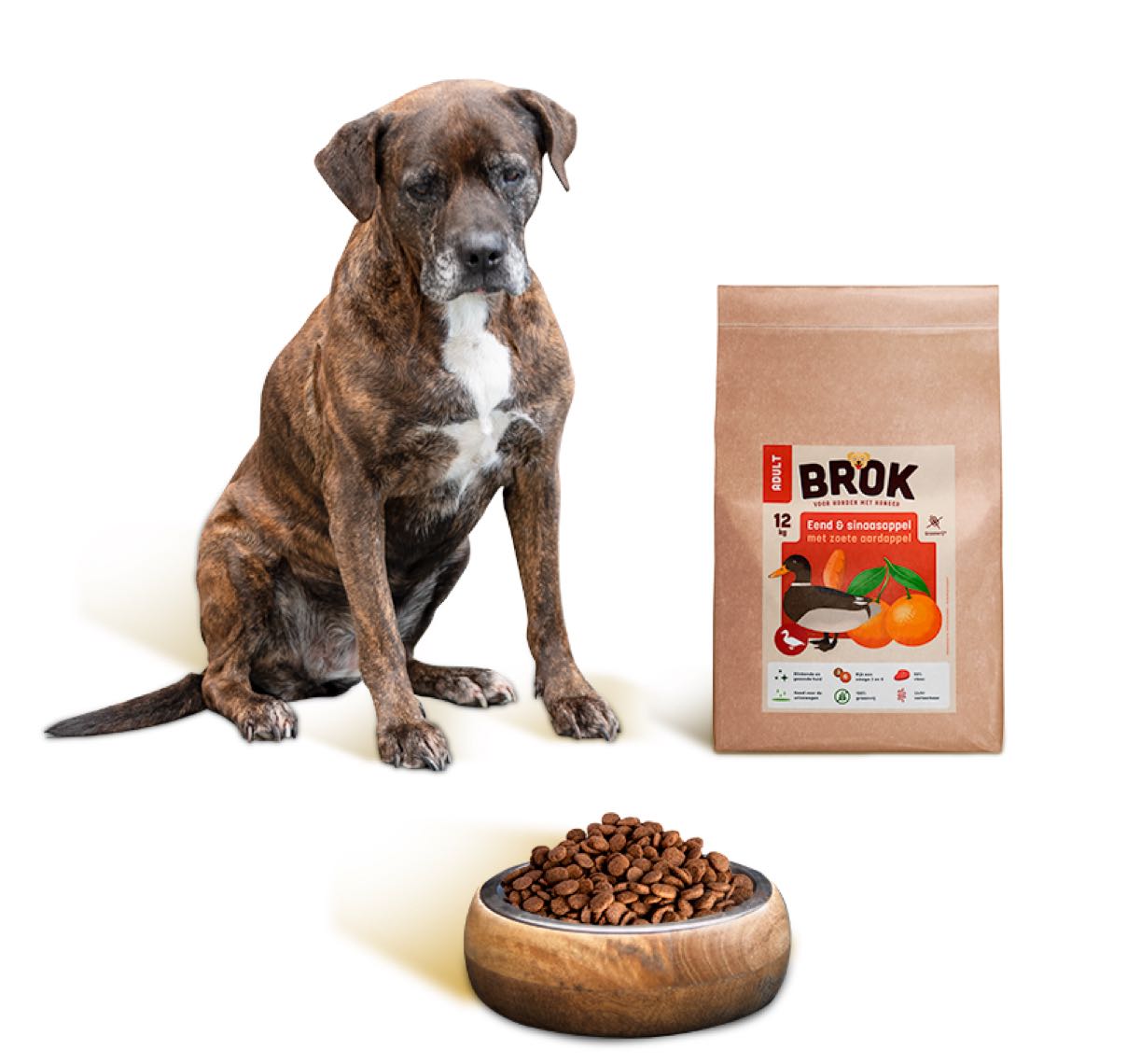 hondenvoeding & Beste brokken honden - BROK