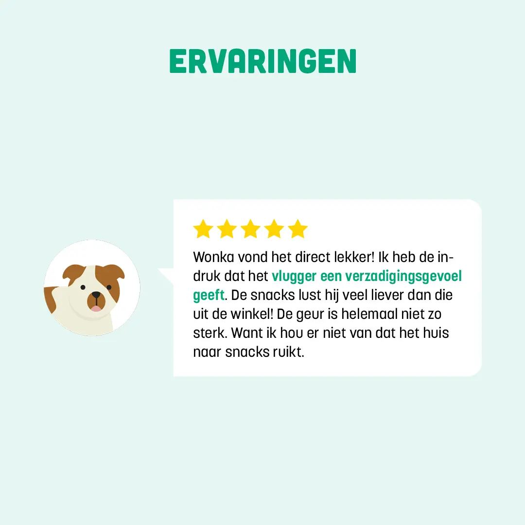 varkensneus hondensnack review