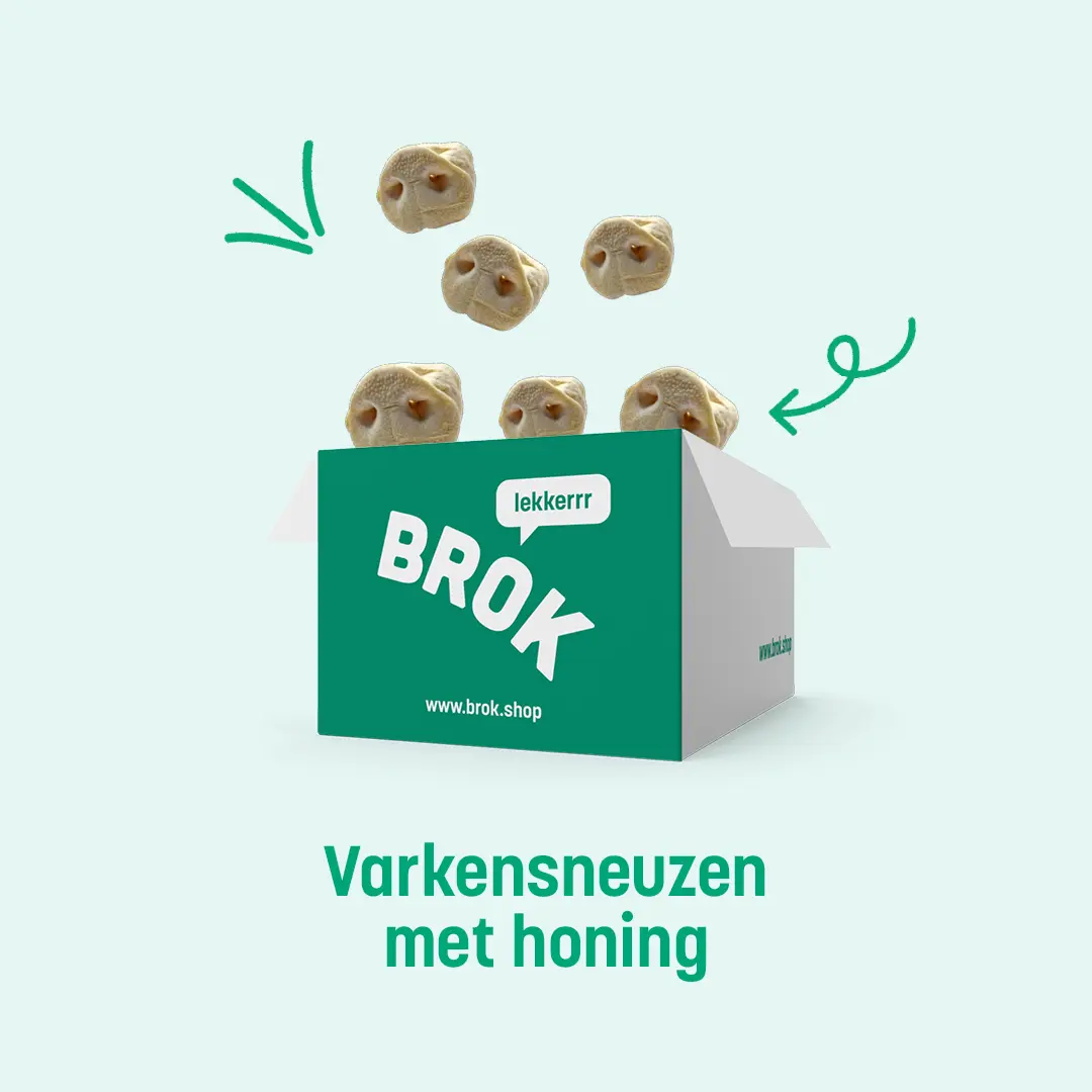 varkensneuzen honden snack