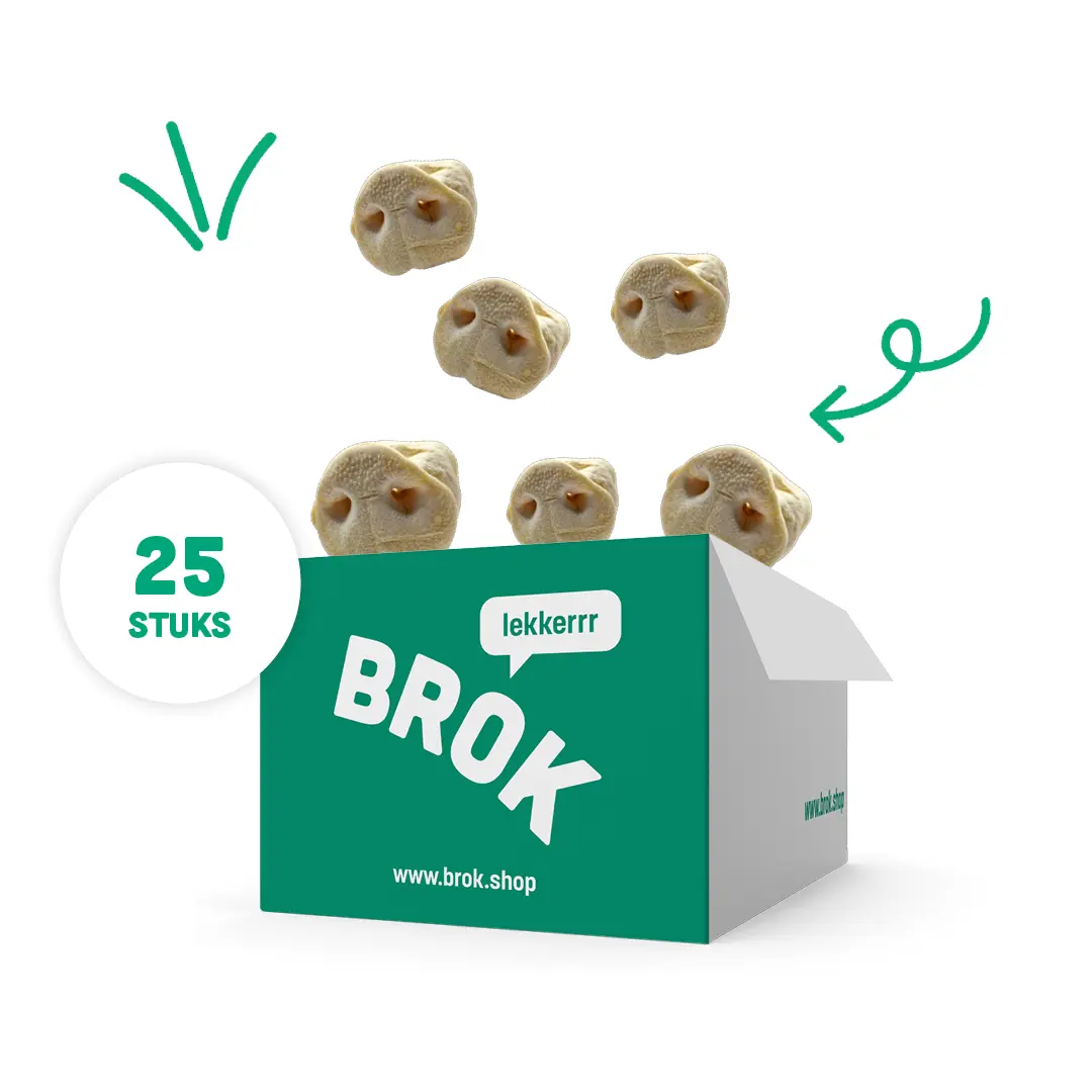 varkensneuzen overzicht beeld