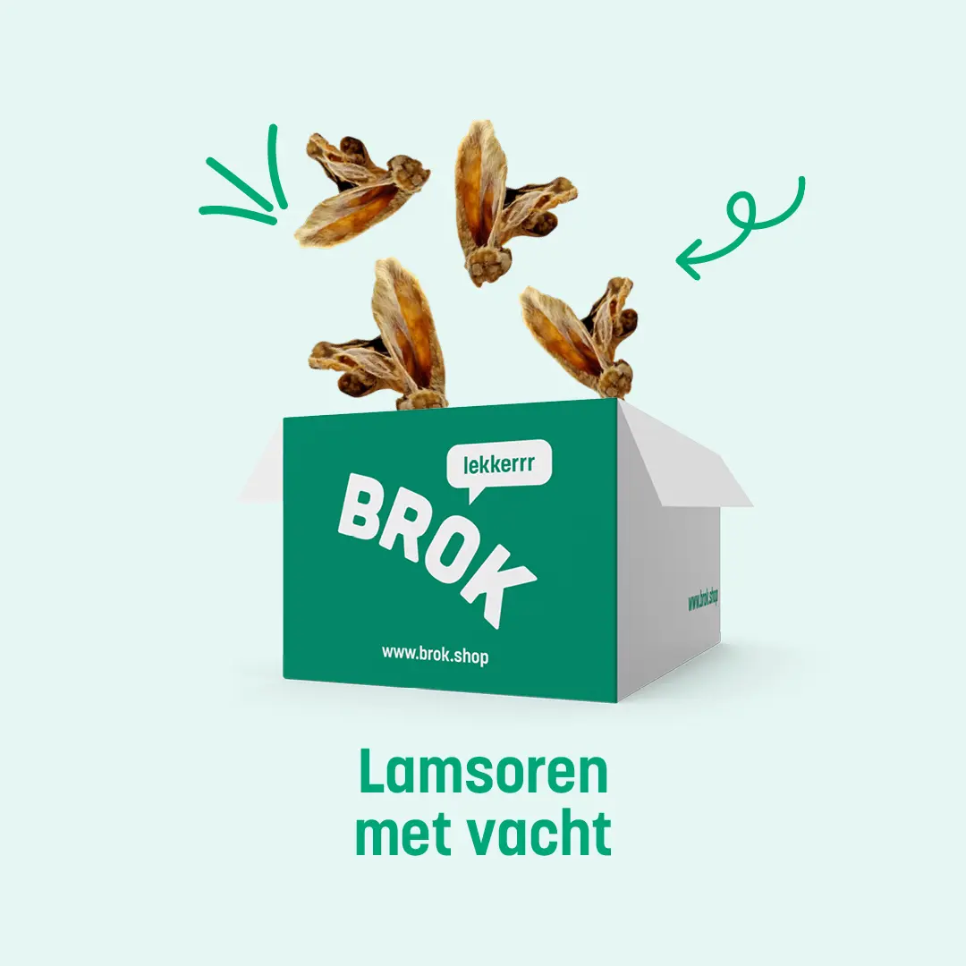 BROK lamsoren snacks