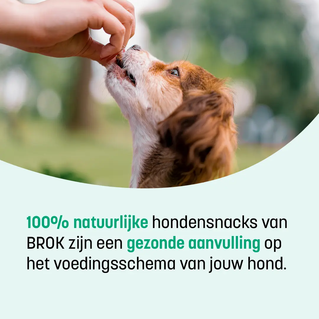 BROK lamsoren snacks