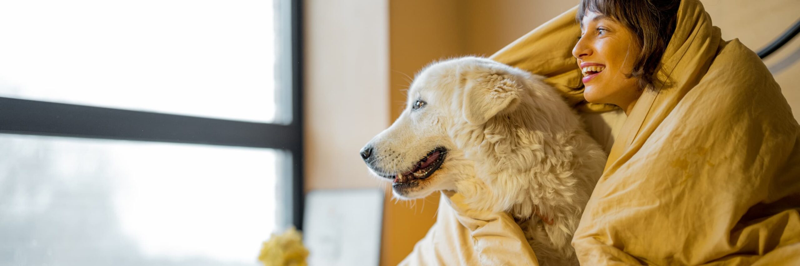 Waar vind ik hondvriendelijke hotels?