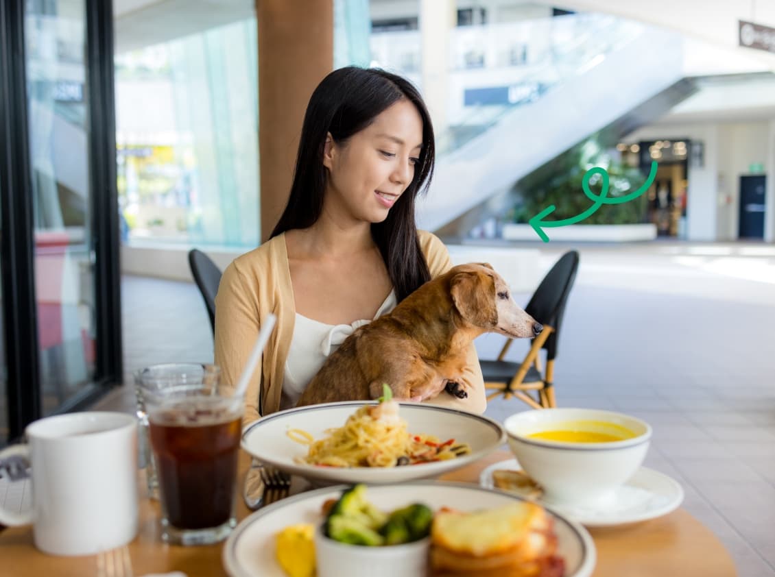 hond op restaurant tips