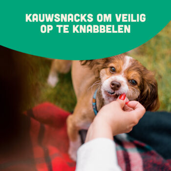 puppy snackpakket meer sfeer
