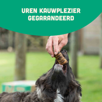 verjaardag pakket sfeer 2