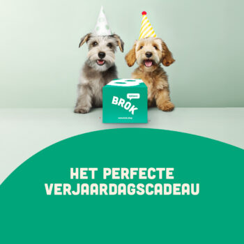 verjaardag pakket sfeer