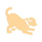 puppytrainers