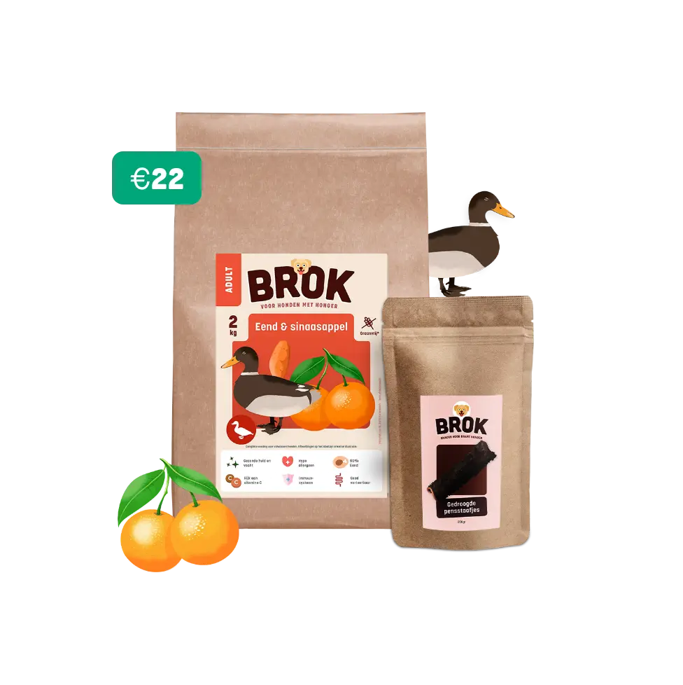 proefpakket problemen hond