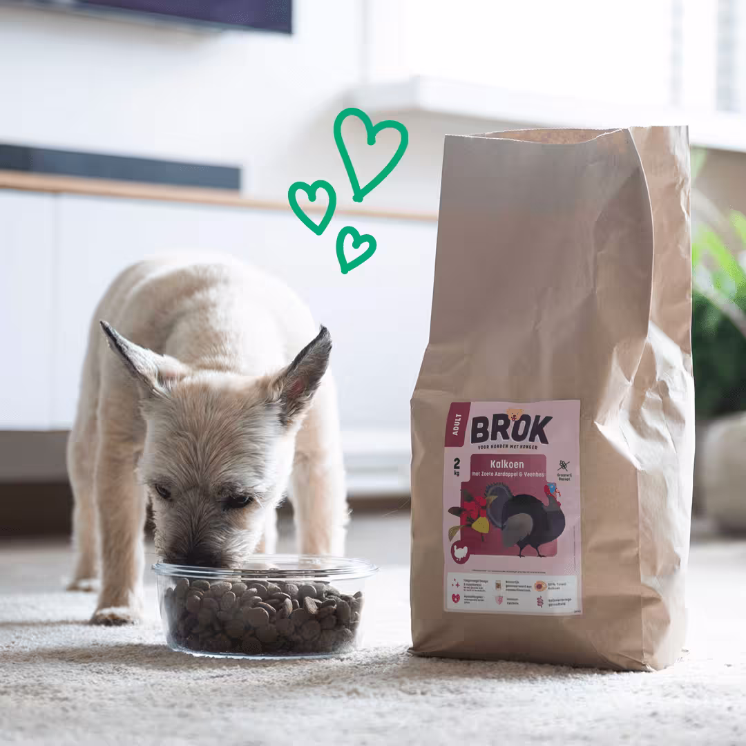 honden met honger