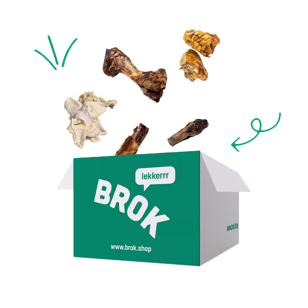 BROK listing snackpakket grote hondenpakket