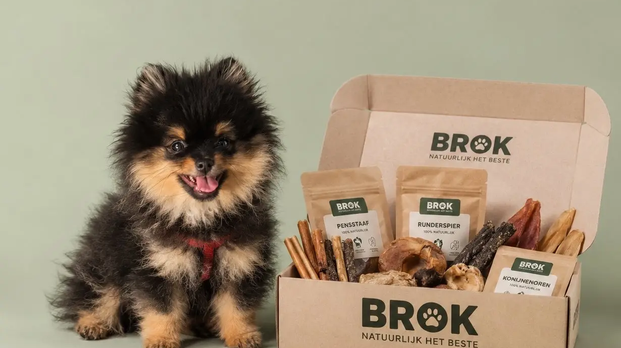 Marie The Pomeranian