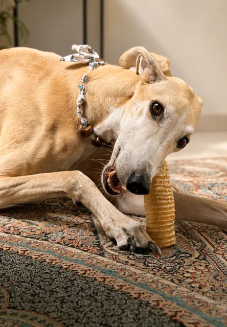 gezonde snacks van brok